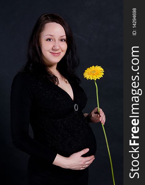 Pregnant woman holding a gerbera flower. Pregnant woman holding a gerbera flower