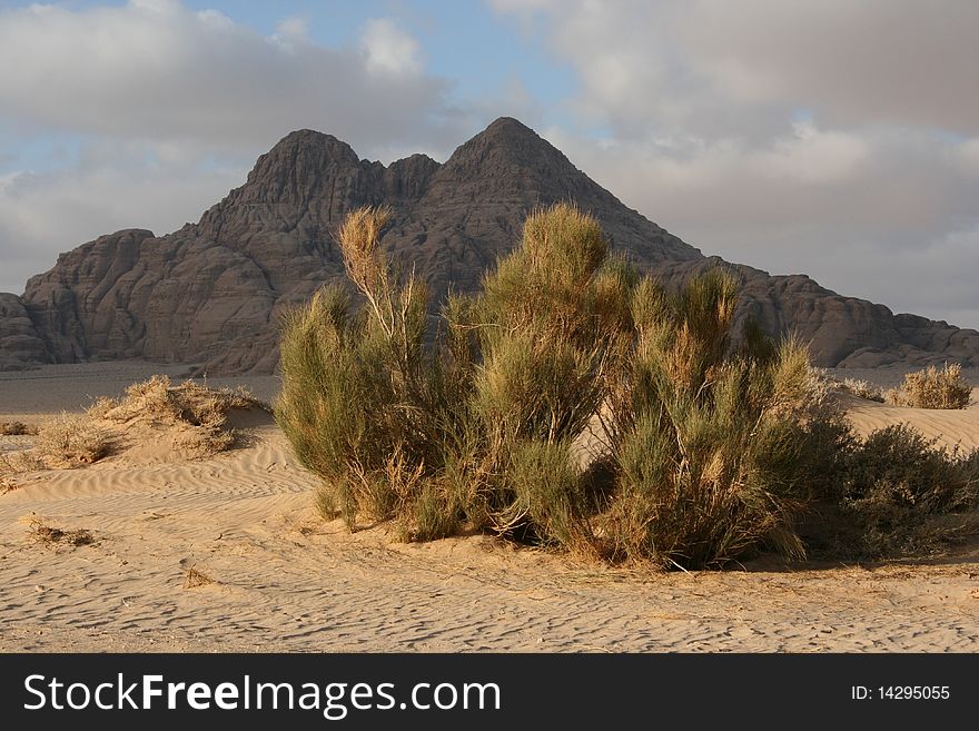 Asia,Jordan desert Wadi Rum rocks and sandy. Asia,Jordan desert Wadi Rum rocks and sandy