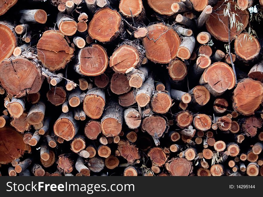 View of a pile of wooden logs, result of the timber industry.