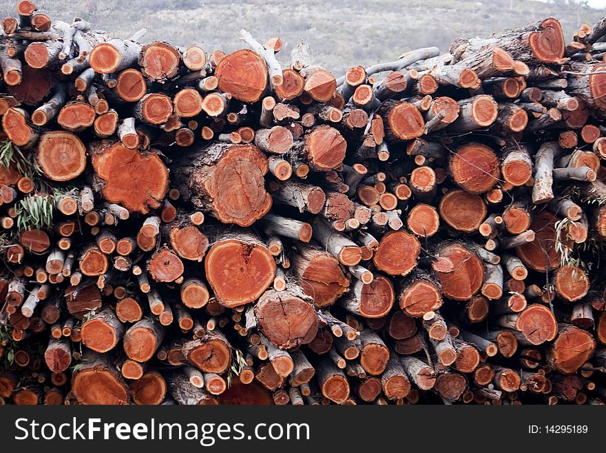 View of a pile of wooden logs, result of the timber industry.