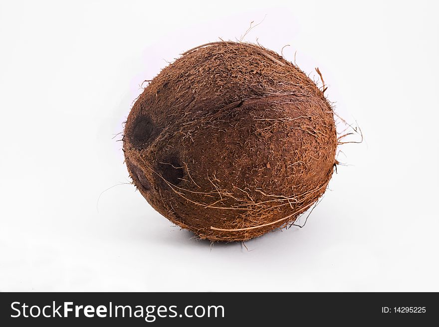 Single Coconut Isolated On White