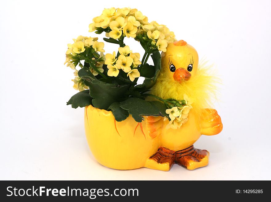 Easter Chick with bÃ¼henden yellow flowers all held,Easter Chick with flowers