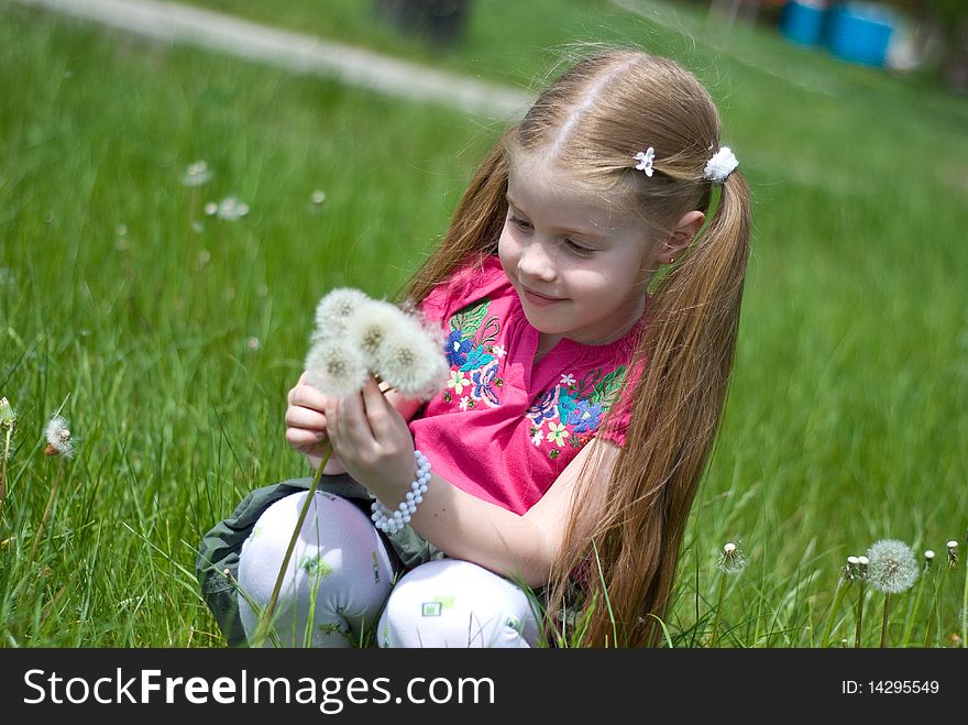 Little Girl With Dandelions