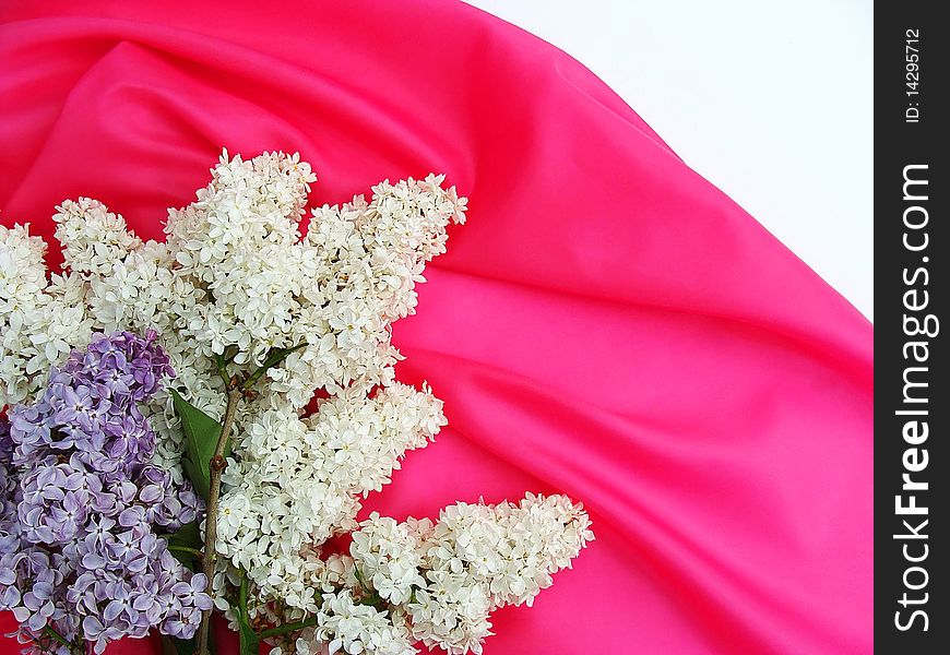 Bouquet of a lilac against a pink silk fabric