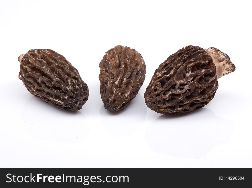 3 Morel mushrooms on a white background