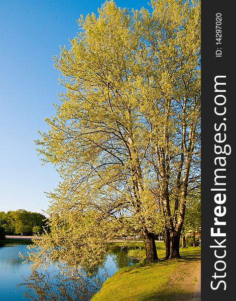 Park in the autumn. Reflexion in water, trees, the sky.