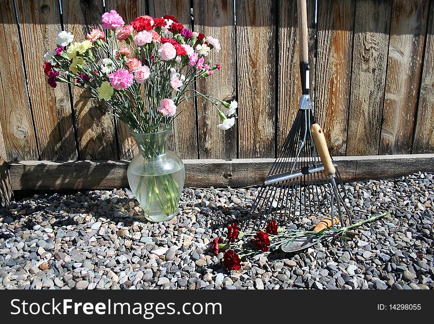 Stock Image Of Garden Tools With Carnations