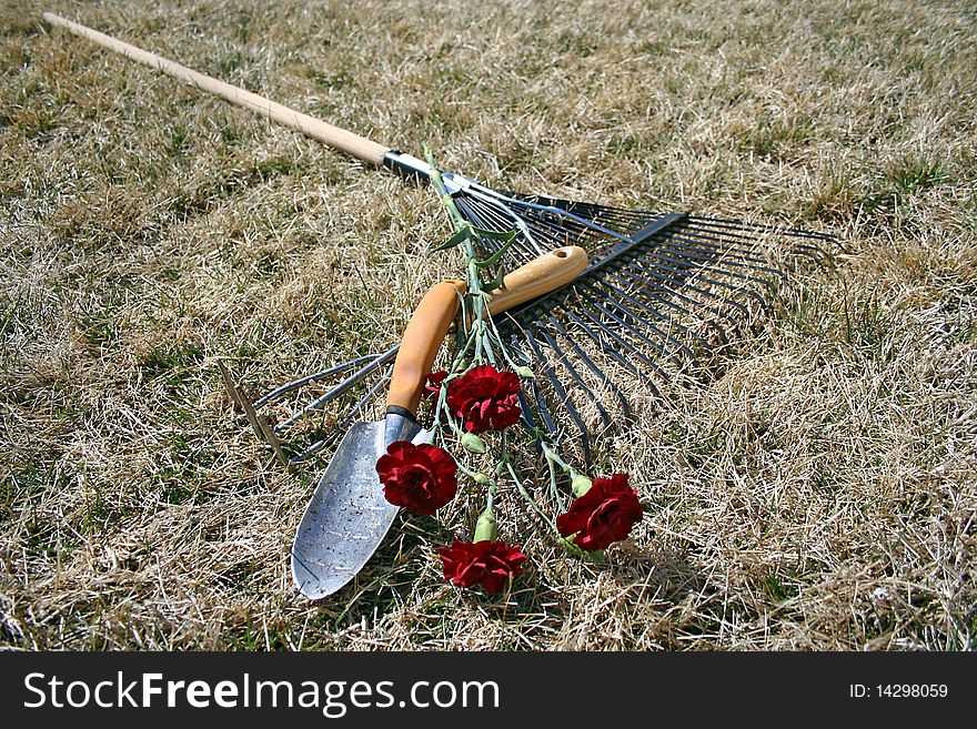 Garden tools on dry grass with red carnations . Garden tools on dry grass with red carnations .