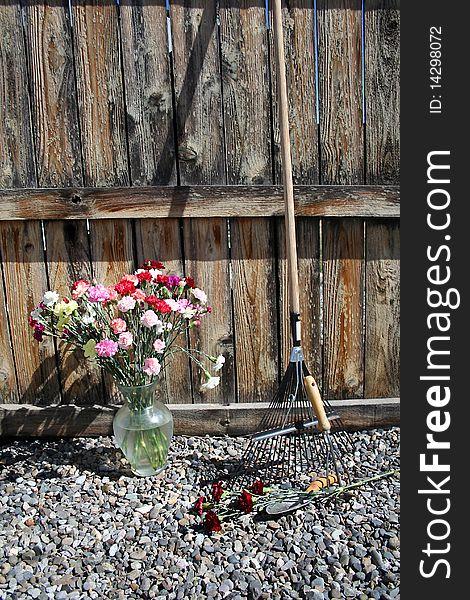 Garden tools on gravel with red carnations and garden wooden fence. Garden tools on gravel with red carnations and garden wooden fence