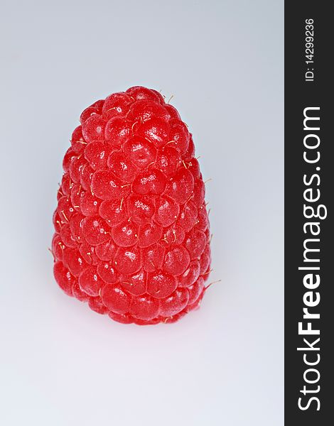 Single Ripe Raspberry