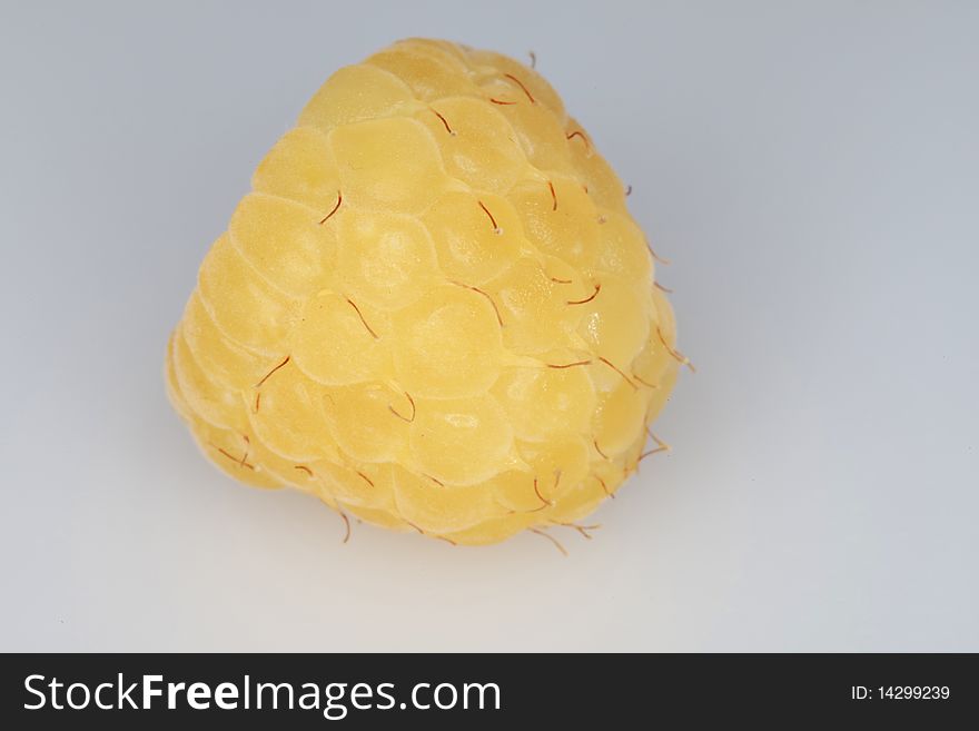 Single Ripe Golden Raspberry