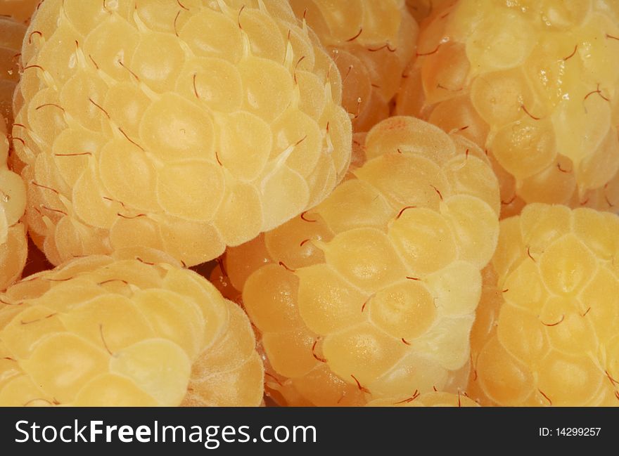 A close-up of ripe golden raspberries.  Makes an interesting background. A close-up of ripe golden raspberries.  Makes an interesting background.