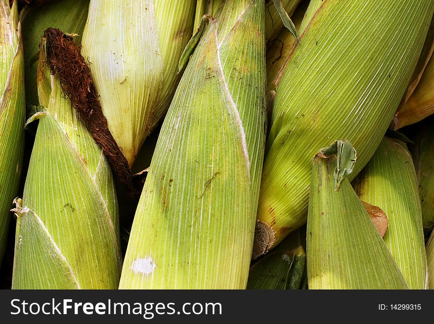 Pile of corn cobs with husk filling frame