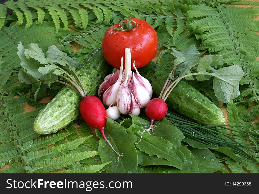 Spring vegetables