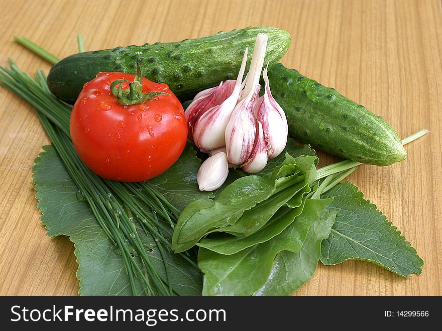 Spring vegetables-palatable and profitable food for yours health