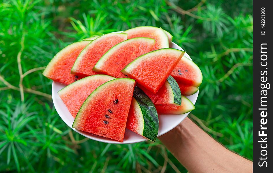 Hand holding plate with ripe watermelon triangle slices on green background