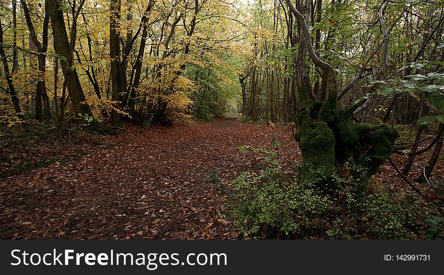 99 kent Oldbury Hill Fort