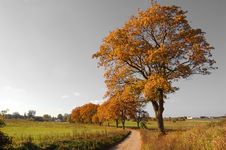 Autumn Landscape Stock Photos Autumn Landscape Stock Photos