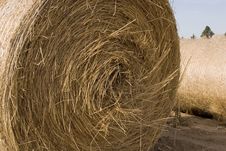 Rolled Hay Royalty Free Stock Images Rolled Hay Royalty Free Stock Images