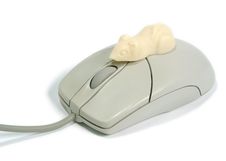 Mouse On Mouse Royalty Free Stock Photography