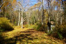 Outhouse In The Autumn Stock Photos Outhouse In The Autumn Stock Photos