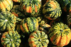 Gordes, A Variety Of Squash, As Displayed At An Outdoor Farmer S Market Royalty Free Stock Images Gordes, A Variety Of Squash, As Displayed At An Outdoor Farmer S Market Royalty Free Stock Images