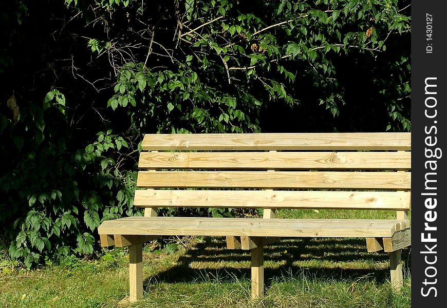 Sunny park bench