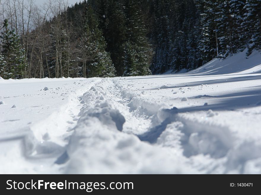 Tracks in snow