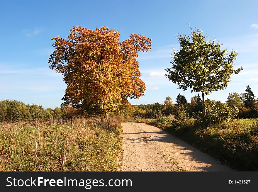 Autumn fall landscape and country path. Autumn fall landscape and country path