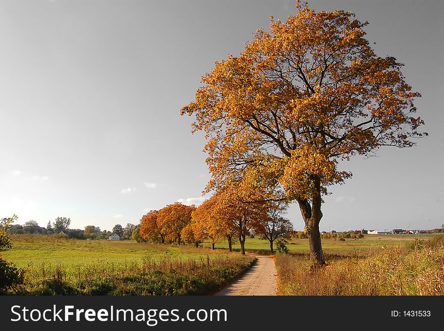 Autumn fall landscape and country path. Black and white sky. Autumn fall landscape and country path. Black and white sky.