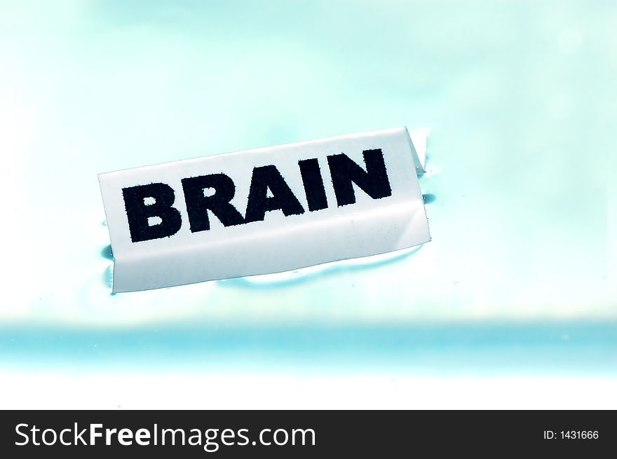 Card floating on water surface with printed word: BRAIN. Card floating on water surface with printed word: BRAIN