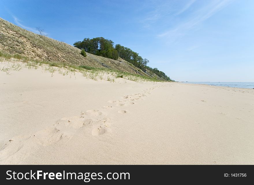 Beach Tracks