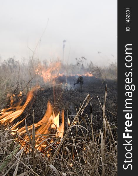 Farmer's burn off the excess crops to prepare for the next year. Farmer's burn off the excess crops to prepare for the next year