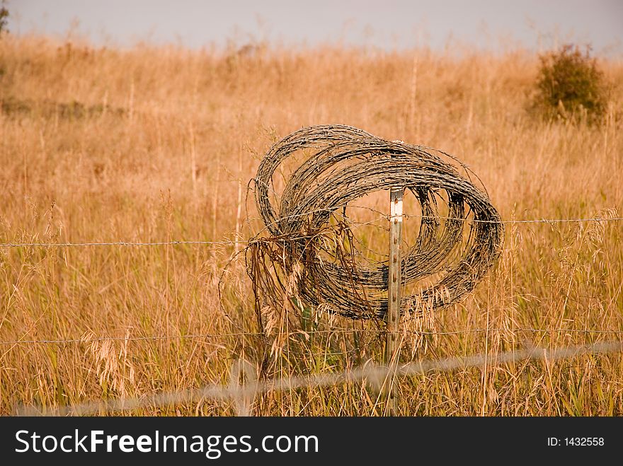 Barbwire on a fence in the country. Barbwire on a fence in the country