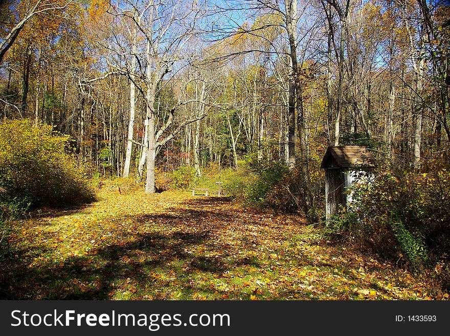 Outhouse in the Autumn