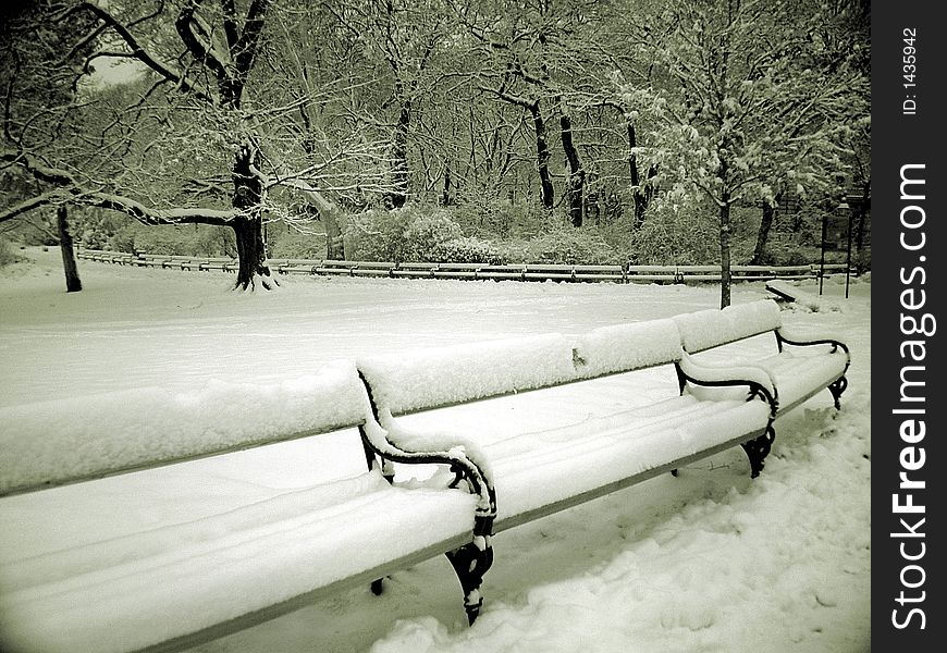 Park benches in winter, with snow cover. Park benches in winter, with snow cover