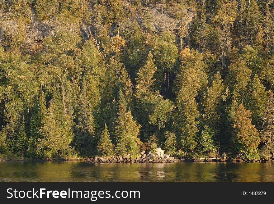 Chippewa Harbor forest scene at sunset - Isle Royale National Park