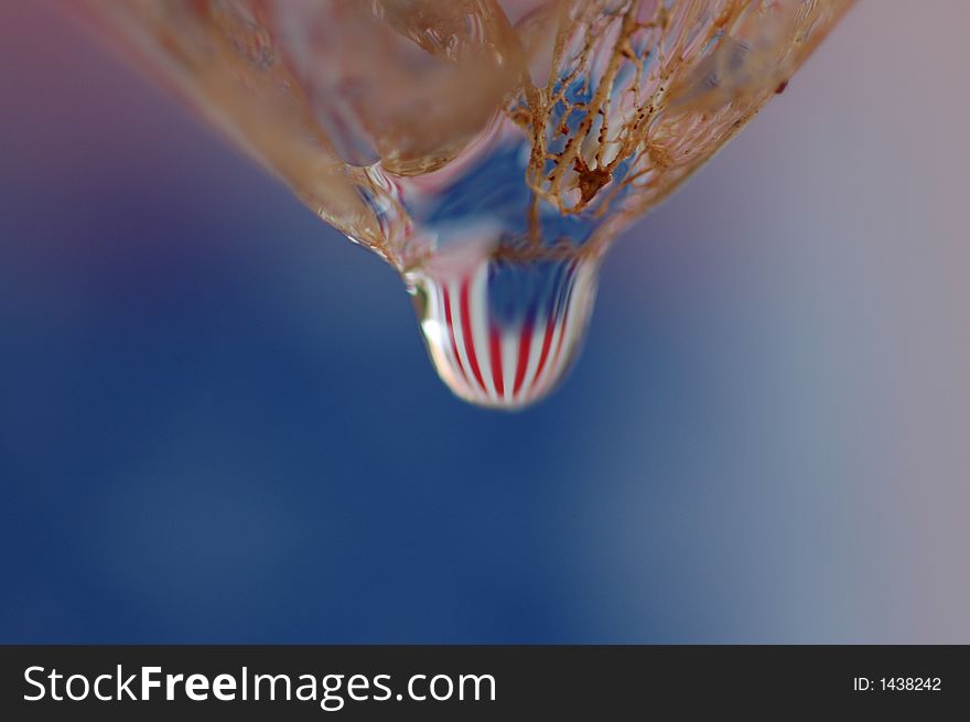 American flag in drop hanging from a physalis. American flag in drop hanging from a physalis