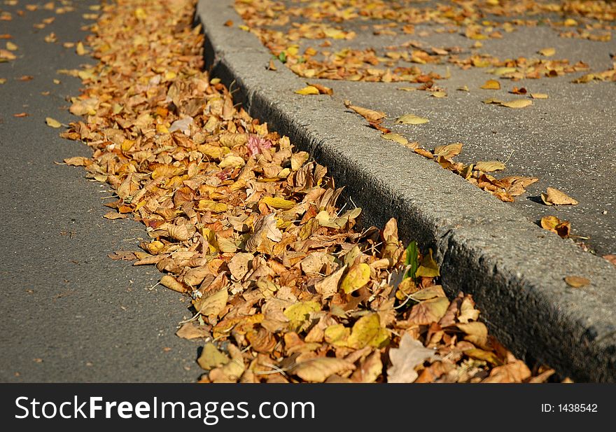 Yellow leaves in autumn on the ground