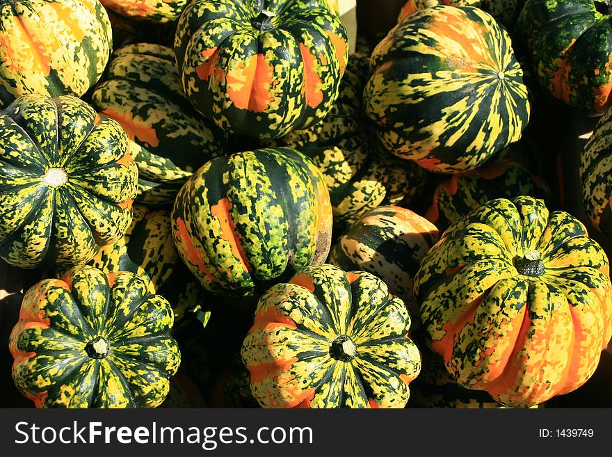 Gordes, a variety of squash, as displayed at an outdoor farmer's market