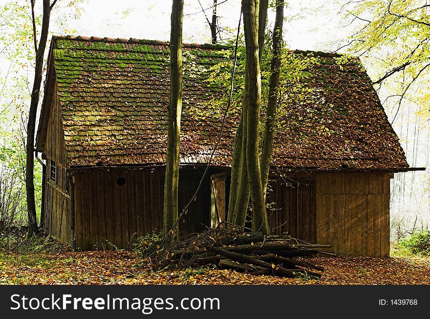 A lone cottage in the woods