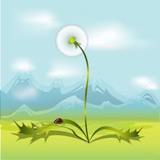 Dandelion Royalty Free Stock Photos Dandelion Royalty Free Stock Photos