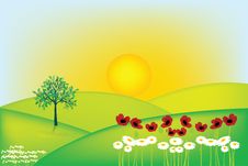 Summer Landscape Royalty Free Stock Images Summer Landscape Royalty Free Stock Images