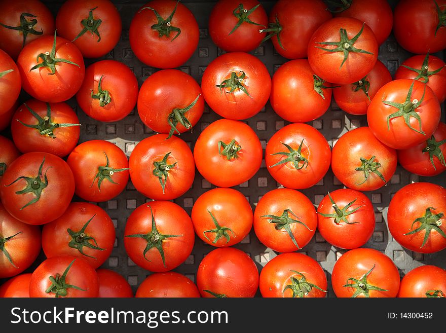 Red Natural Tomatos In The Basketful