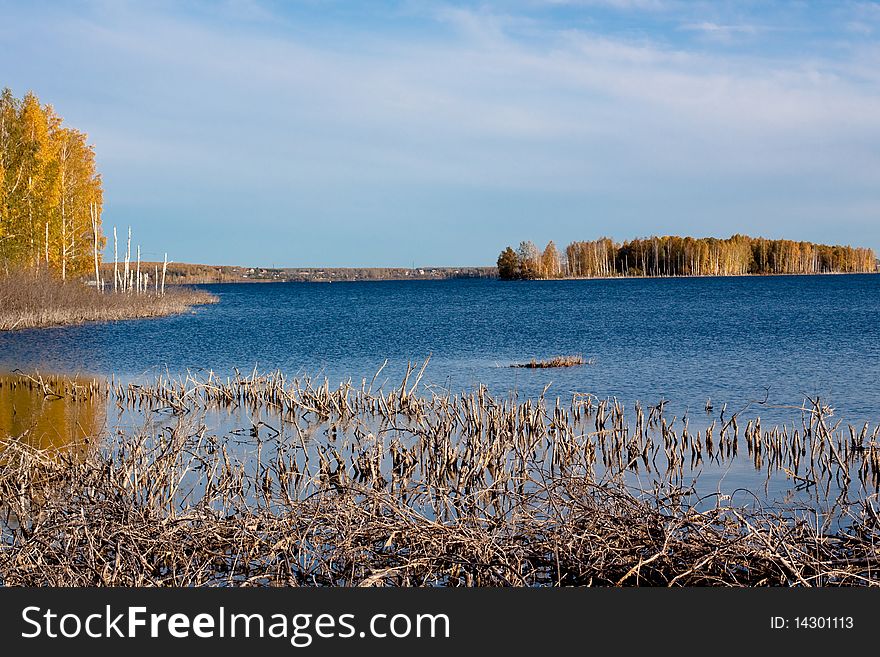 Lake with yellow trees, blue sky and lifeless branches in water. Lake with yellow trees, blue sky and lifeless branches in water