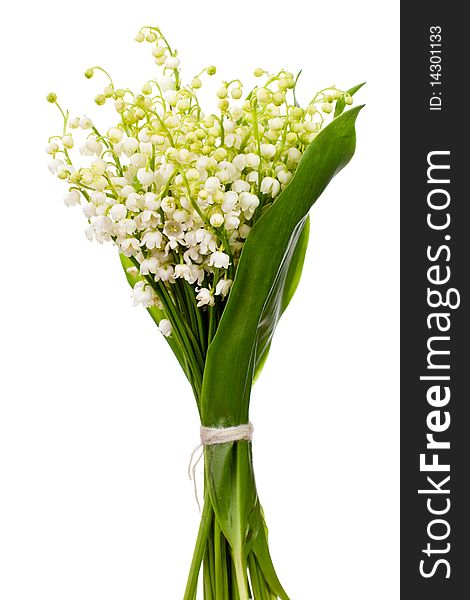 Bouquet of lily of the valley. Bouquet of lily of the valley