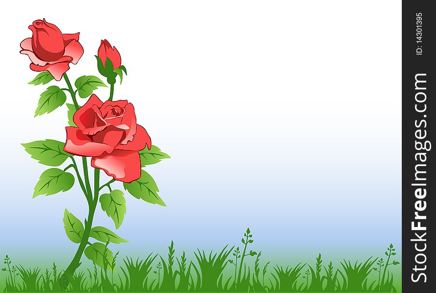 Natural background with red rose and grass