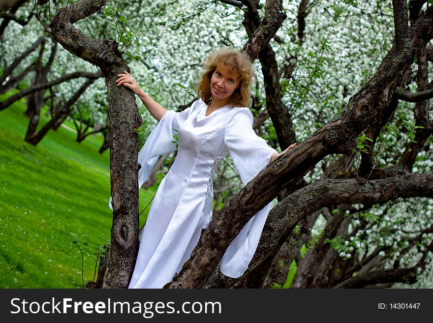 The blonde girl in white dress standing on apple-tree with white flowers. The blonde girl in white dress standing on apple-tree with white flowers