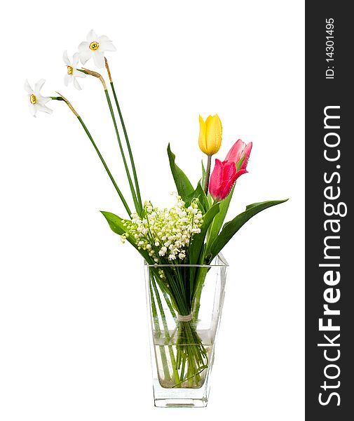 Tulips Daffodils and lily isolated on white. Tulips Daffodils and lily isolated on white