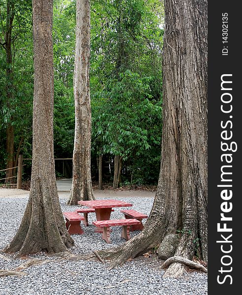 Medium Red Table Trees